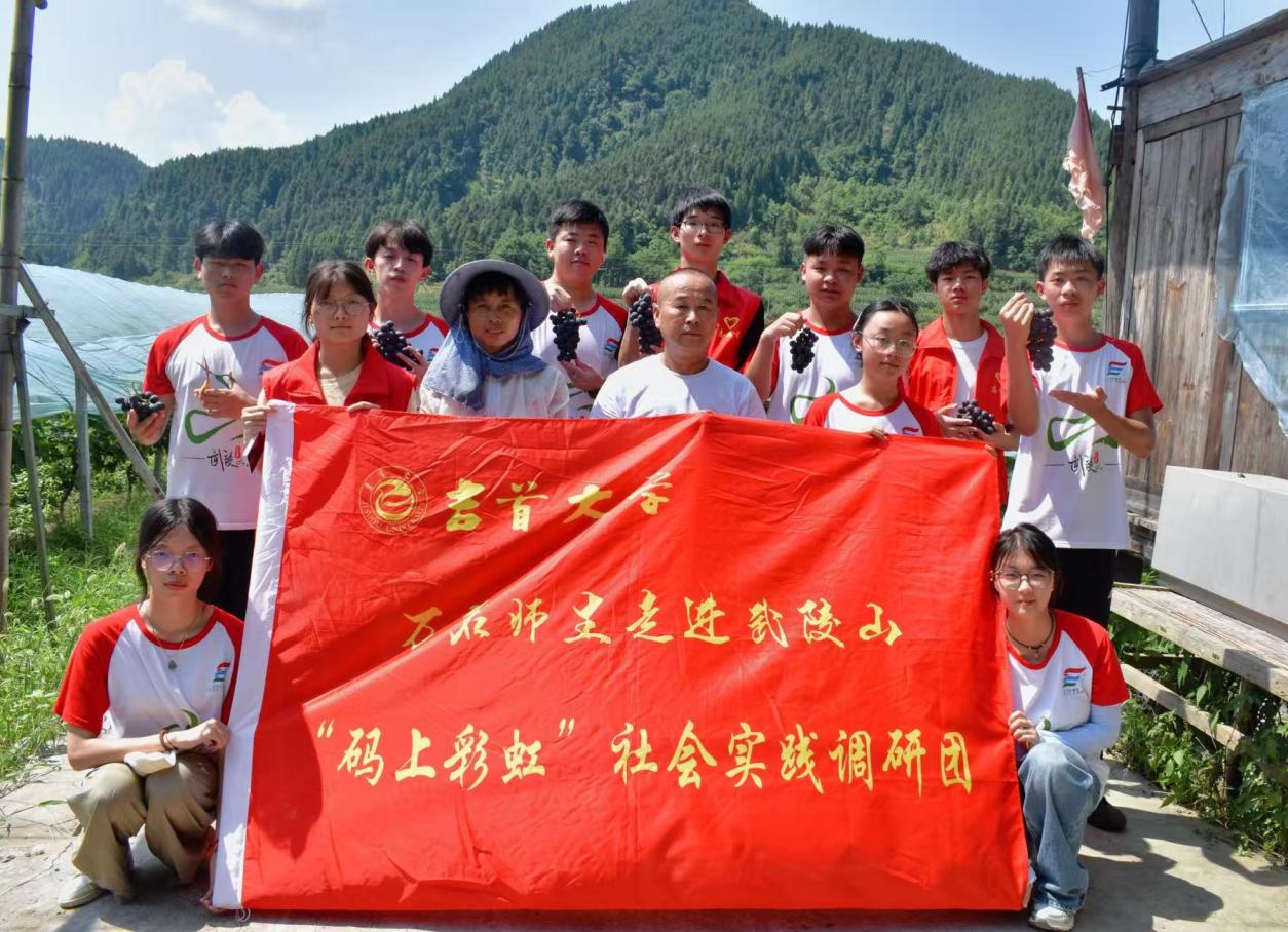 mk体育官网