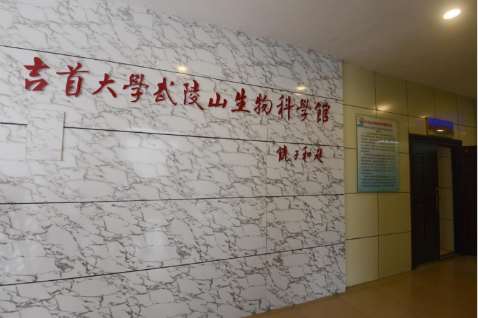 mk体育官网