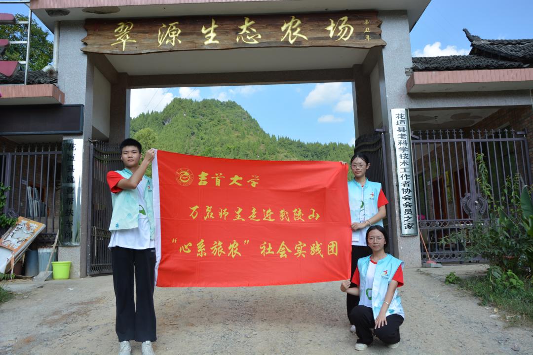 mk体育官网