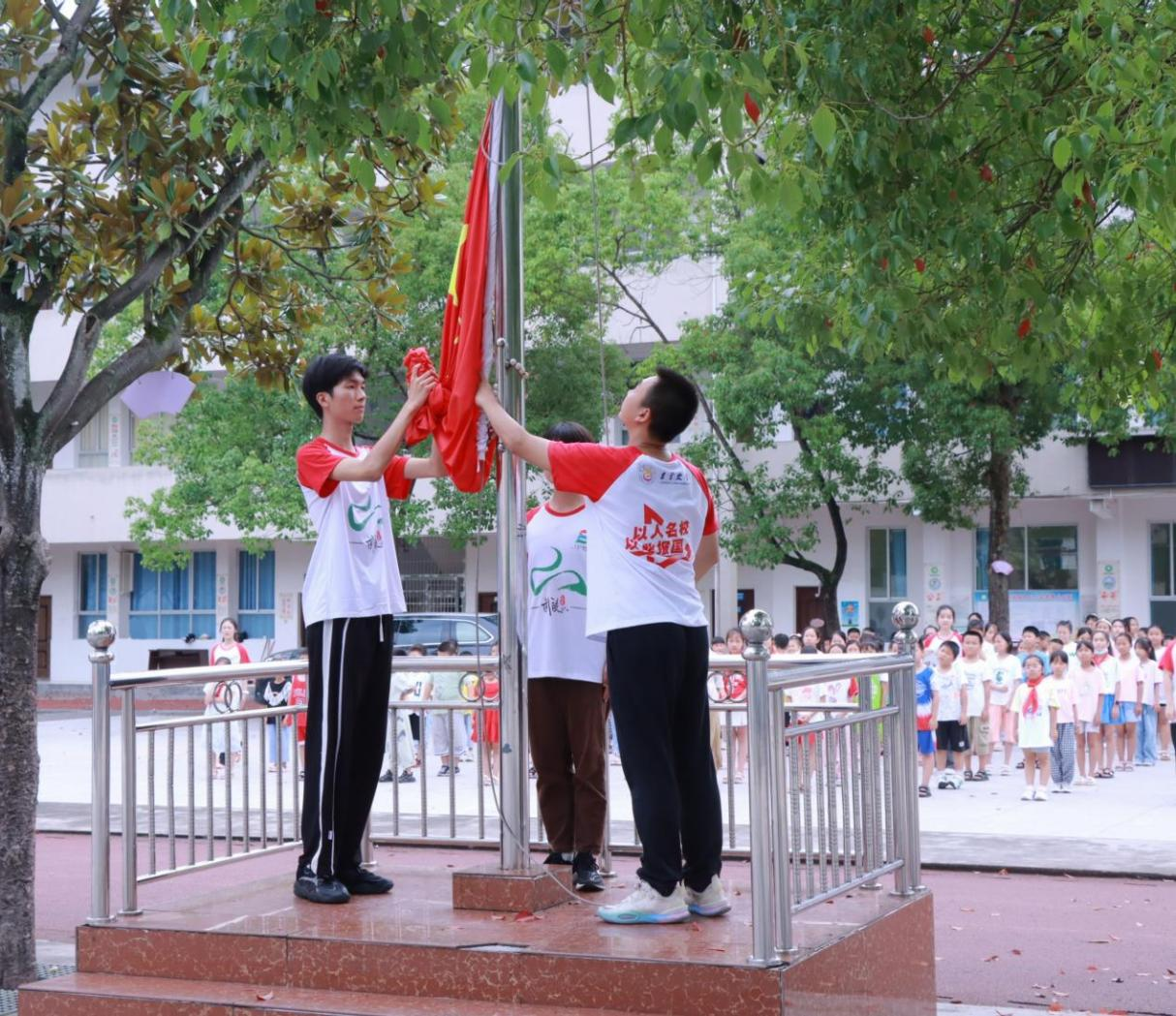 mk体育官网