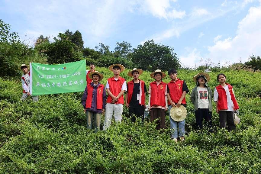 mk体育官网