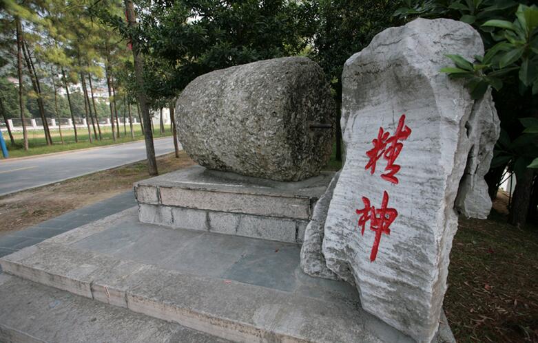 mk体育官网