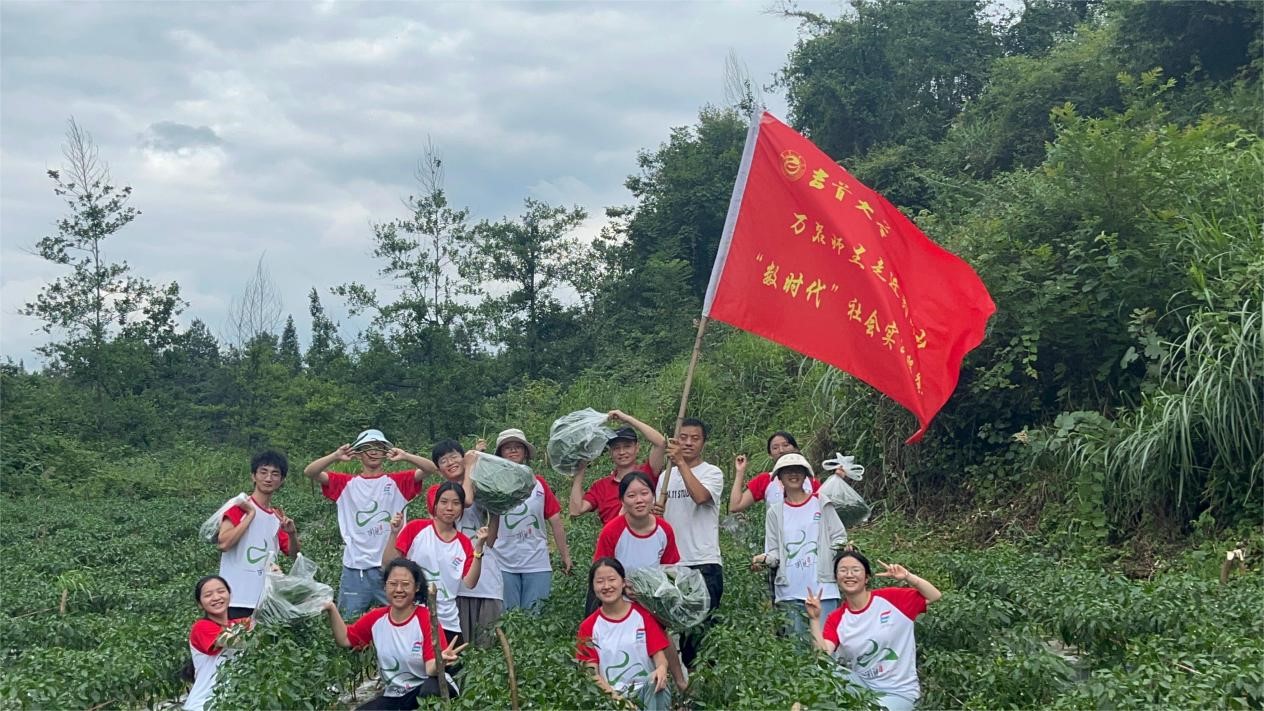 mk体育官网
