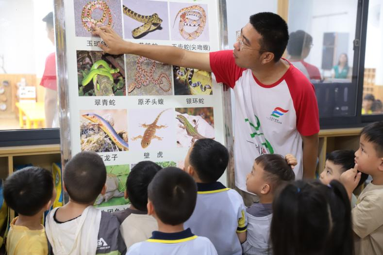 mk体育官网