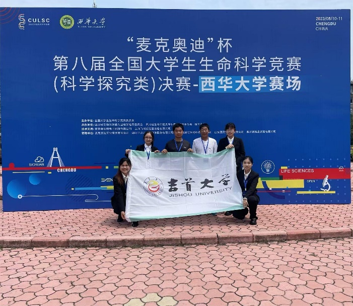 mk体育官网